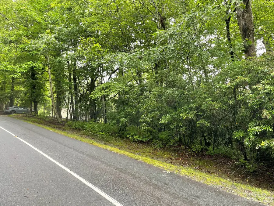 TBD Tellico Trail #116/01, Brevard, NC 28712 - Image #3