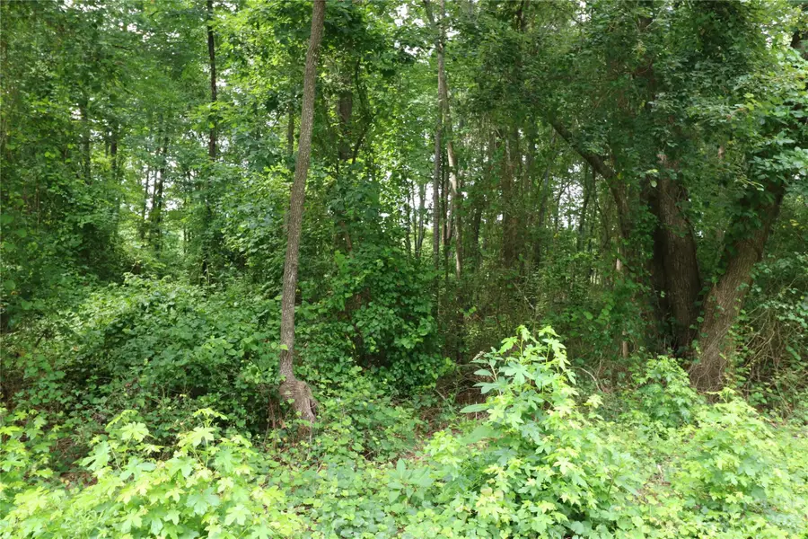 Lot 20 Commercial Drive, Forest City, NC 28043 - Image #3