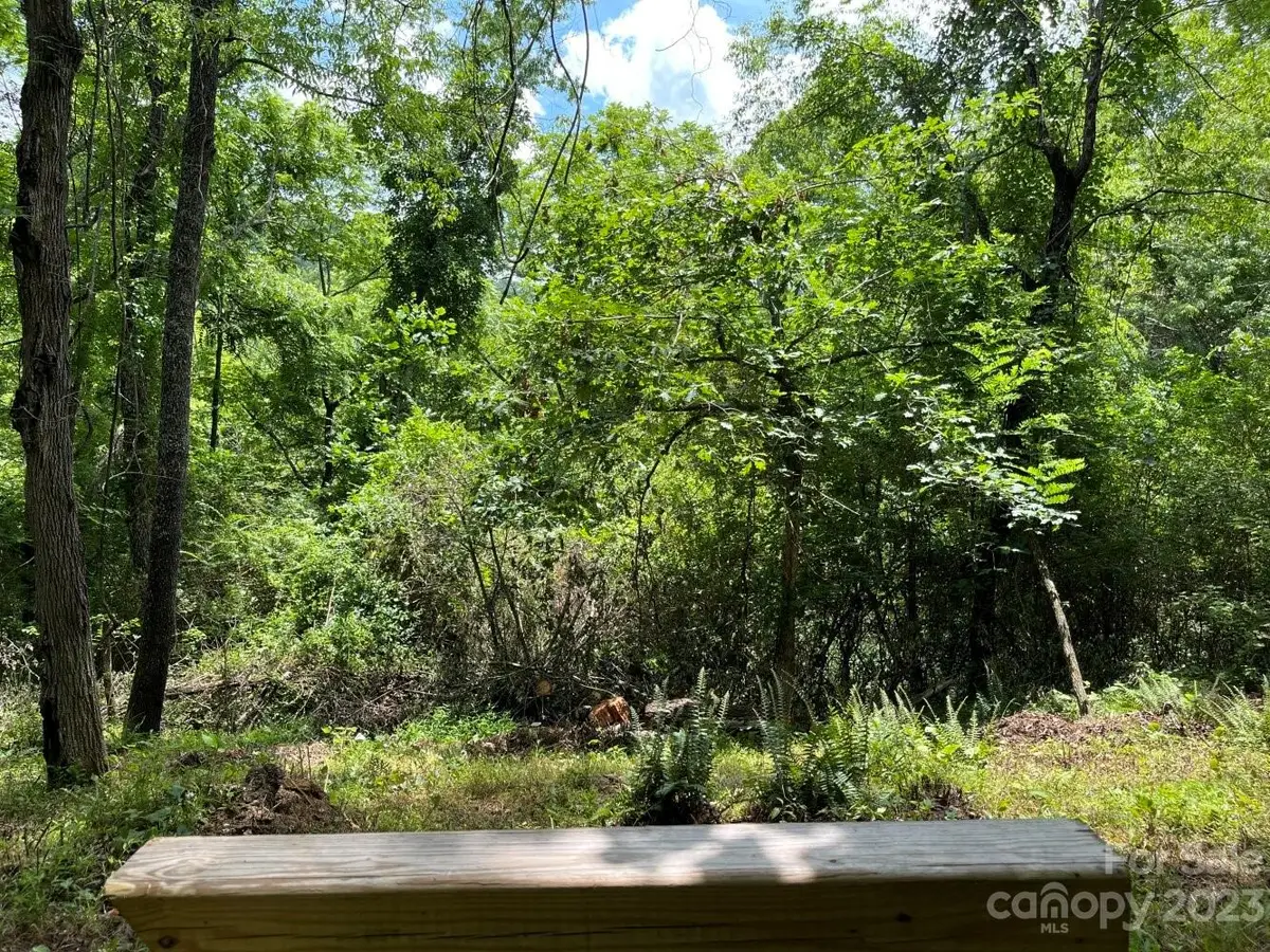 9999 Davis Cove Road, Leicester, NC 28748 - Image #1