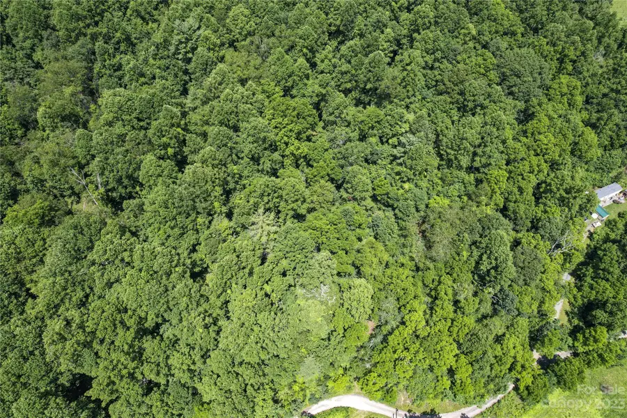 9999 Davis Cove Road, Leicester, NC 28748 - Image #2