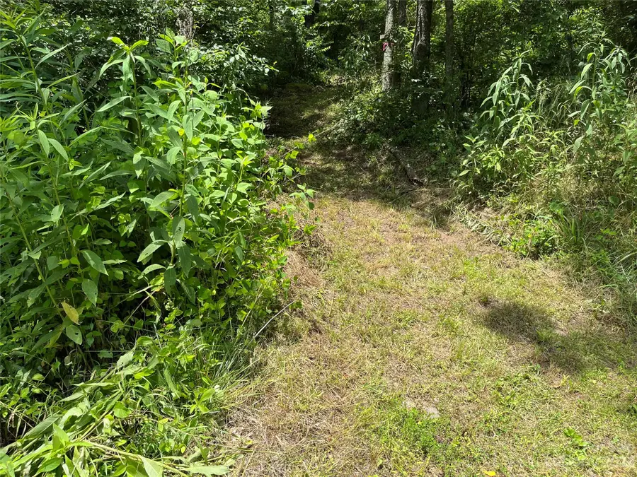 9999 Davis Cove Road, Leicester, NC 28748 - Image #3