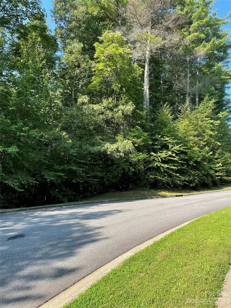 V48&49 Camptown Road #V48&49, Brevard, NC 28712 - Image #2