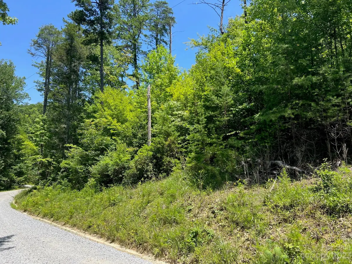 lot 24 Round Mountain Road #24, Brevard, NC 28712 - #1