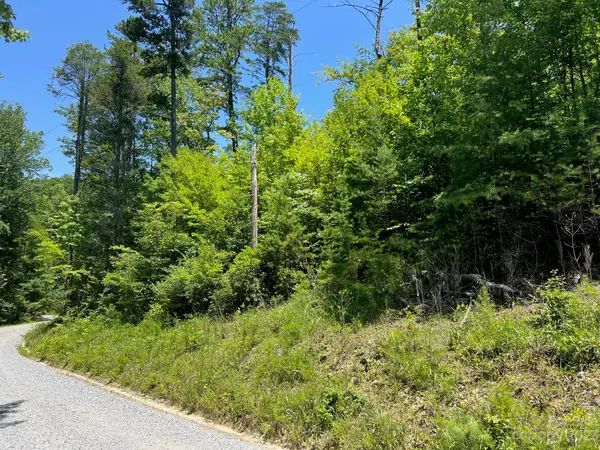lot 24 Round Mountain Road #24, Brevard, NC 28712