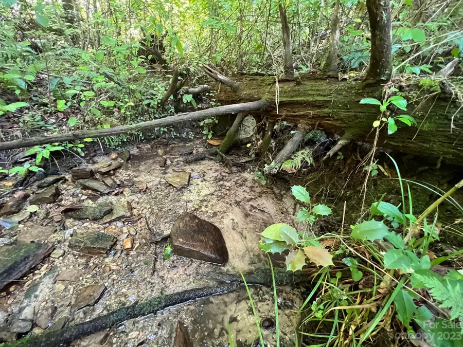 lot 24 Round Mountain Road #24, Brevard, NC 28712 - #2