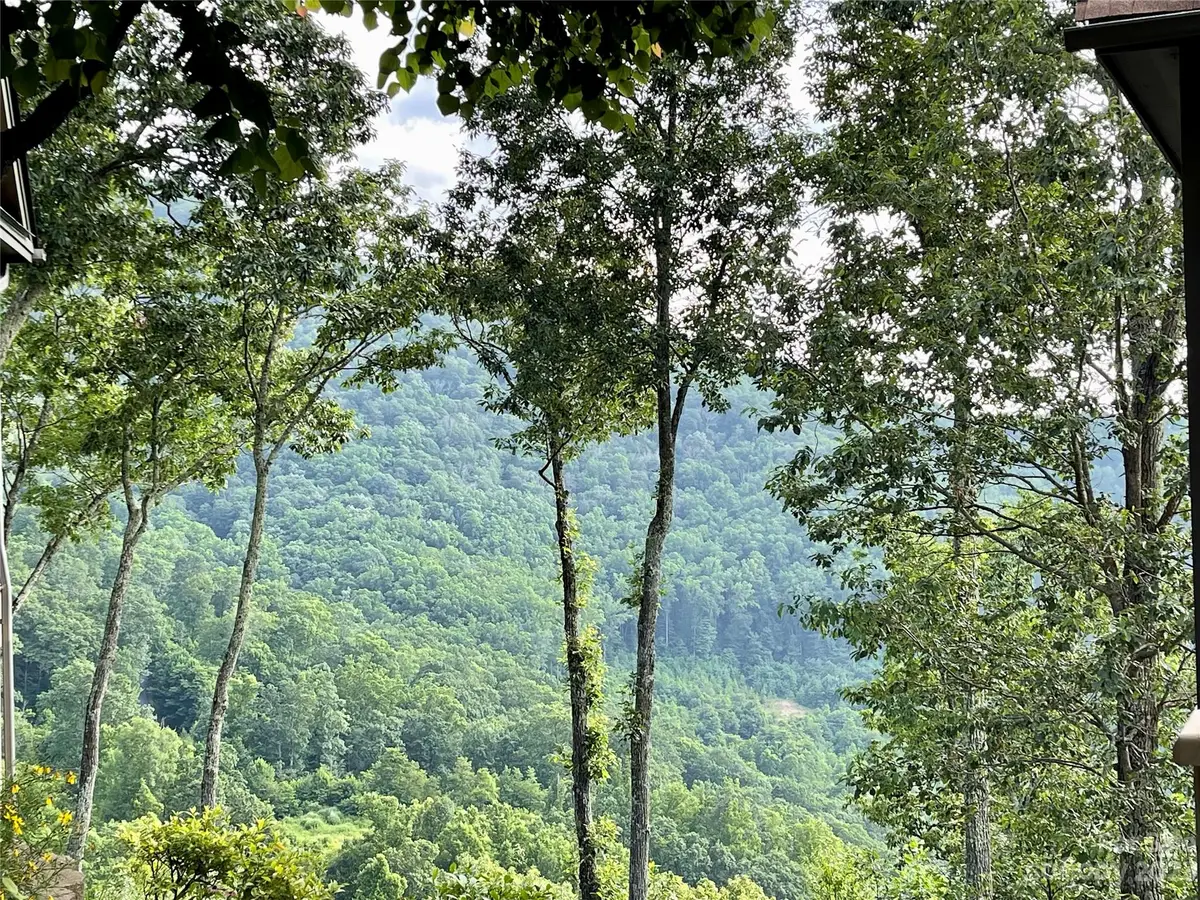 9 Starry Woods Lane, Burnsville, NC 28714 - Image #1