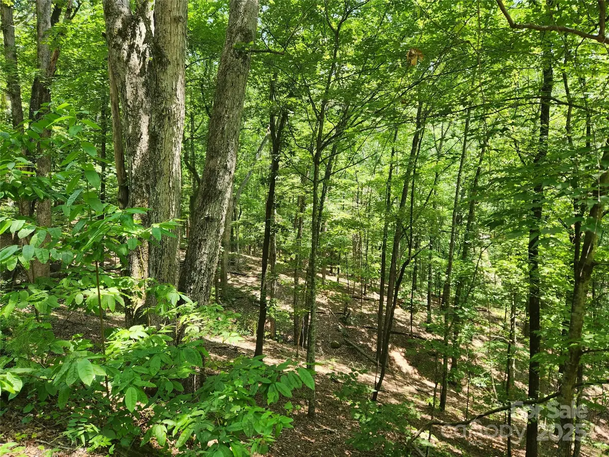 Lot 81, 82, & 88 Walnut Lane, Lake Lure, NC 28746 - Image #1