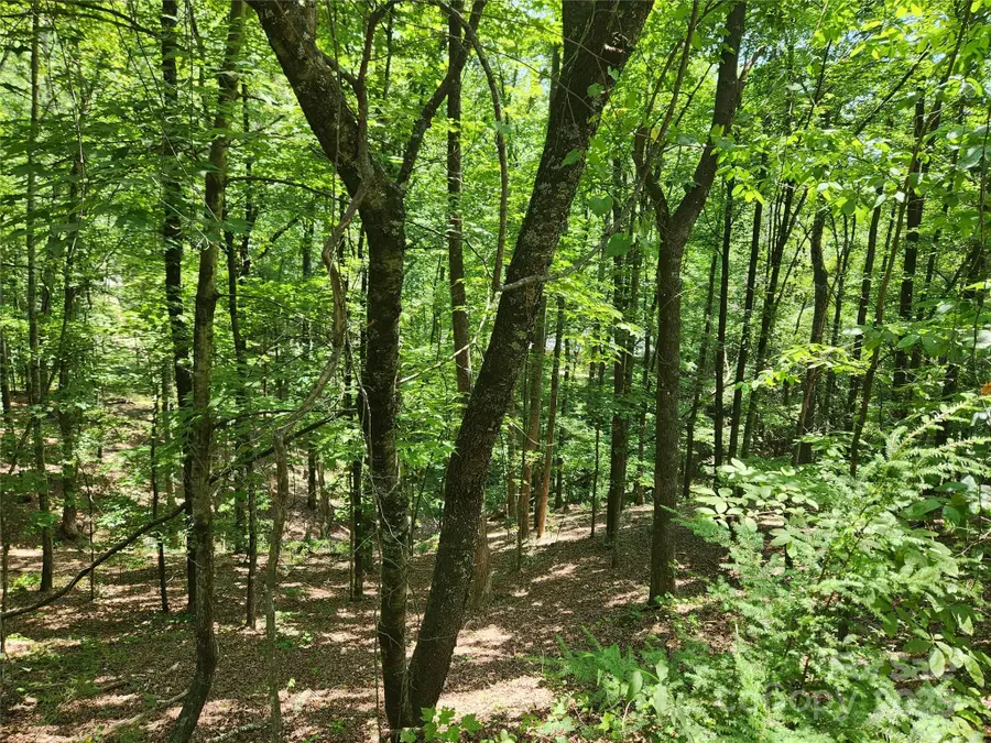 Lot 81, 82, & 88 Walnut Lane, Lake Lure, NC 28746 - Image #2