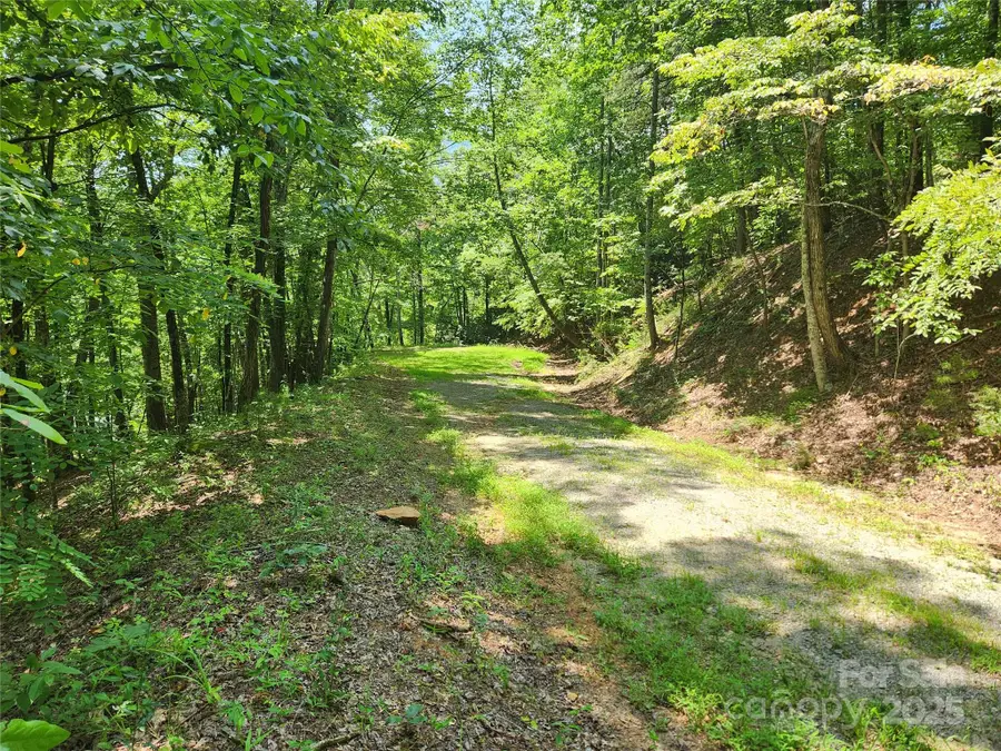 Lot 81, 82, & 88 Walnut Lane, Lake Lure, NC 28746 - Image #3