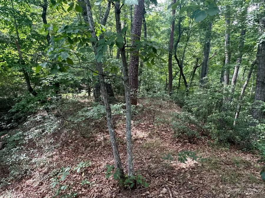 0000 Justice Drive, Lake Lure, NC 28746 - Image #2