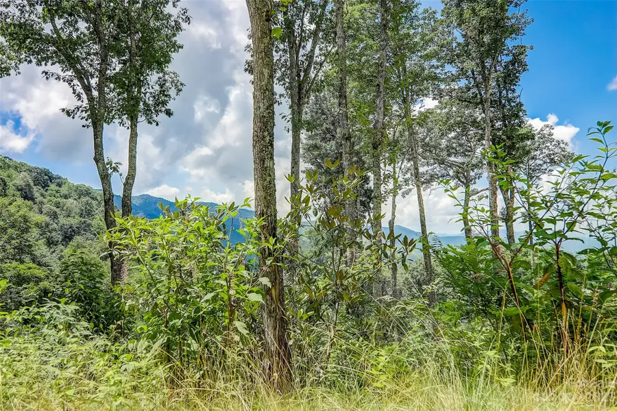 0 Centurian Lane #26, Maggie Valley, NC 28751 - Image #2