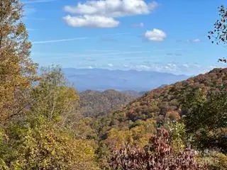 580 Freemont Drive, Leicester, NC 28748 - Image #1