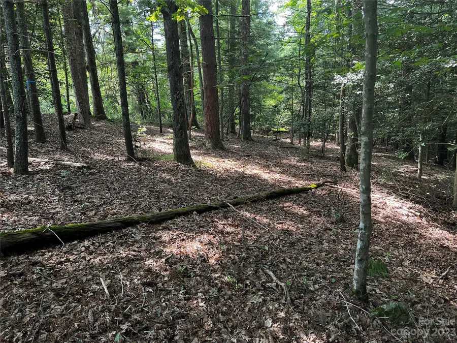 99999 Lance Road, Asheville, NC 28803 - Image #2