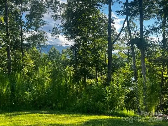 23 Mountain Parkway, Mill Spring, NC 28756 - Image #1