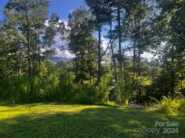 23 Mountain Parkway, Mill Spring, NC 28756 - Image #2