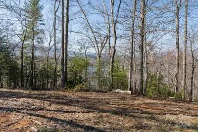 23 Mountain Parkway, Mill Spring, NC 28756 - Image #3
