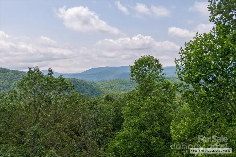 120 Ivywood Lane, Laurel Park, NC 28739 - Image #3