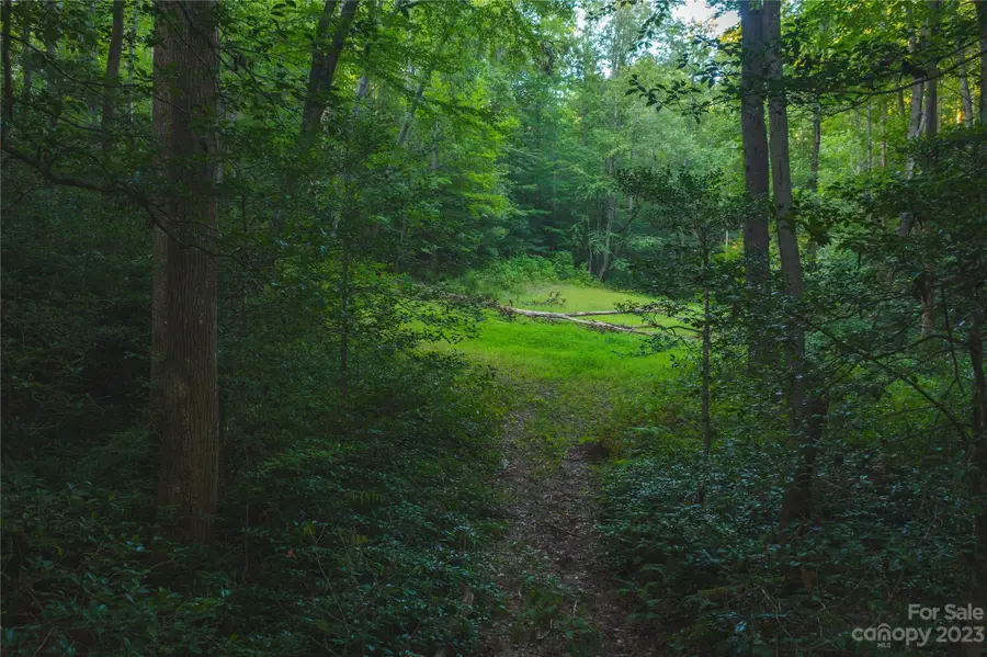 4157 Kirby Mountain Road, Lenoir, NC 28645 - Image #3