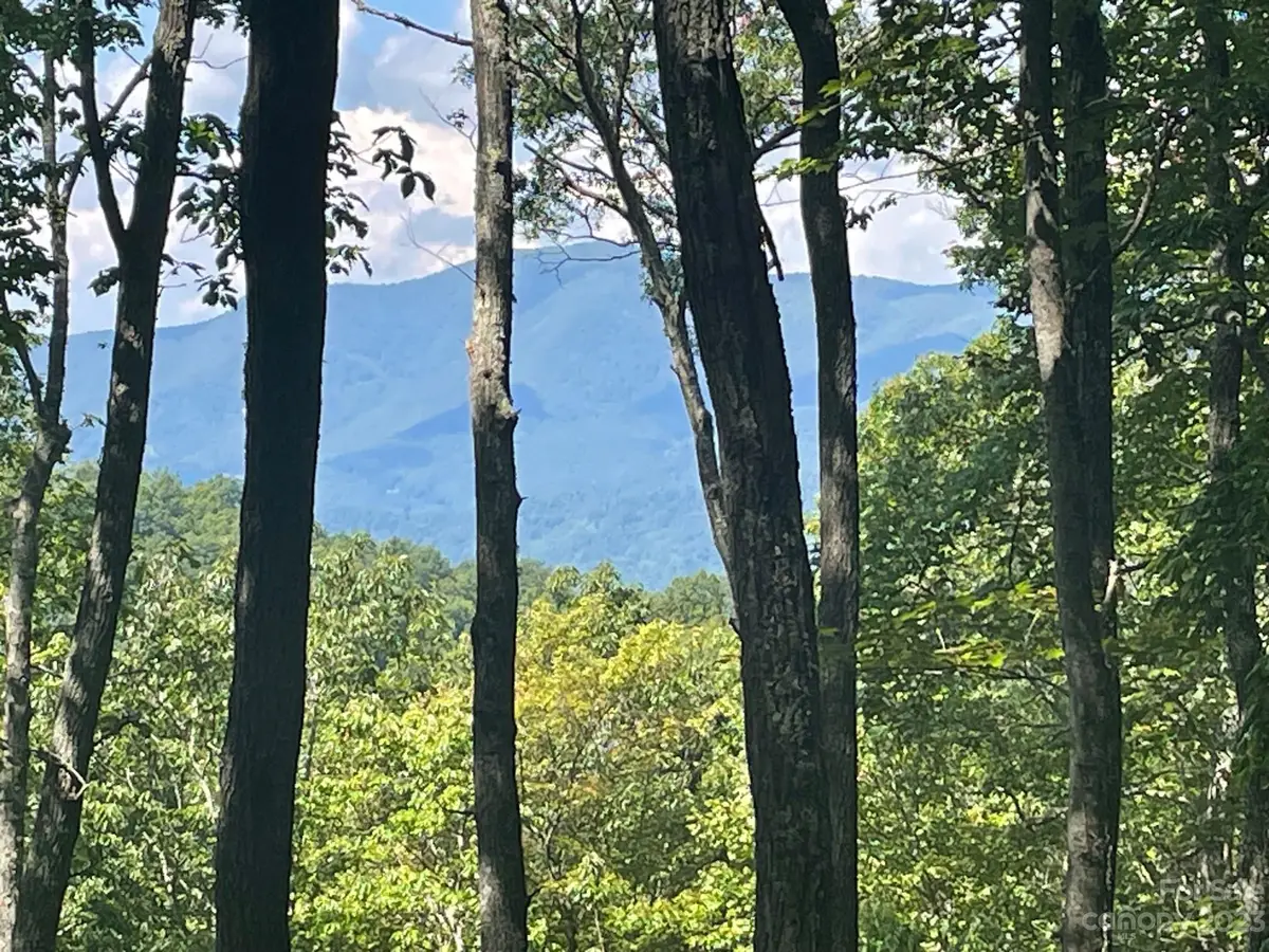 Lt 107 Boar Ridge Road #107, Sylva, NC 28779 - Image #1