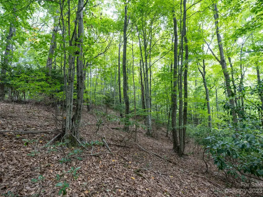 00 Grouse Ridge Road #2, Waynesville, NC 28786 - Image #2