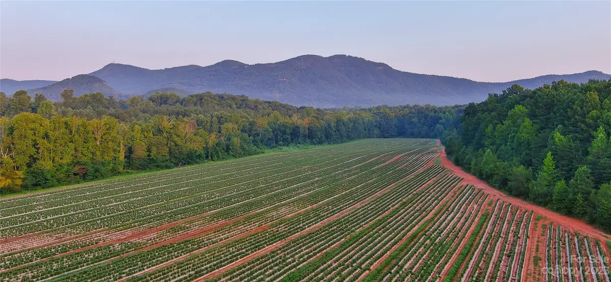 0 Fox Mountain Road #1, Columbus, NC 28722 - Image #1