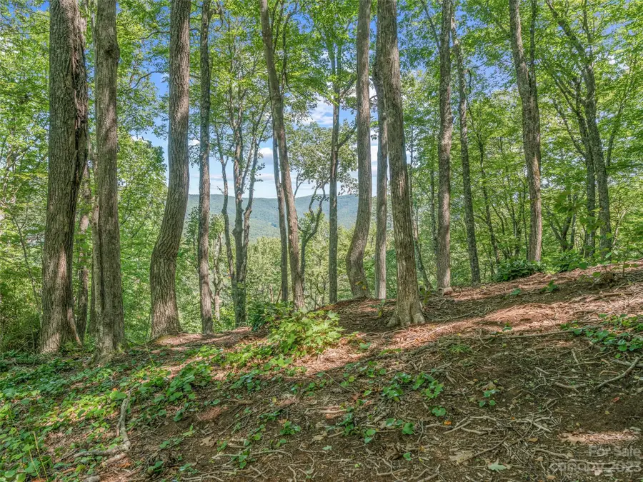 000 Winterstar Loop #59, Burnsville, NC 28714 - Image #2