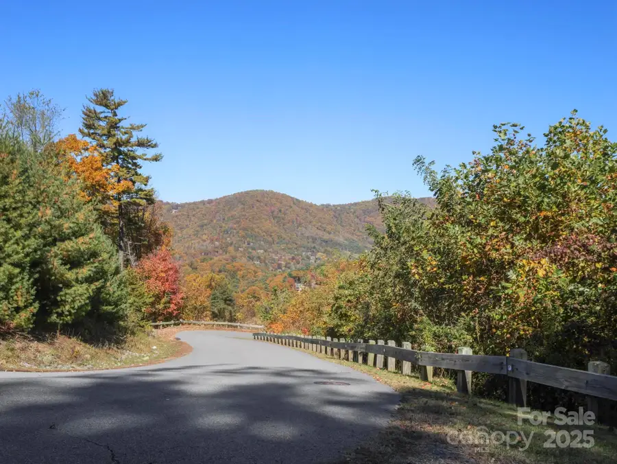 78 Woodland Aster Way #69, Asheville, NC 28804 - Image #3