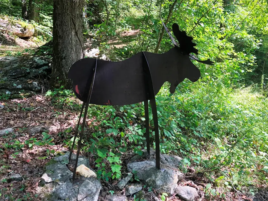 166 Erwin Lane, Waynesville, NC 28785 - Image #3