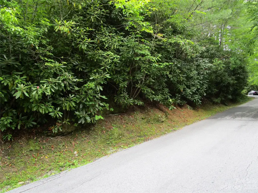 TBD Indian Lake Road #31, Lake Toxaway, NC 28747 - Image #3