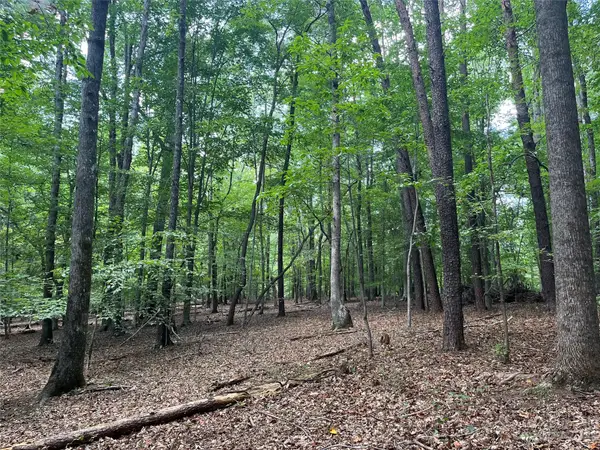 0 Fox Mountain Road #9, Columbus, NC 28722