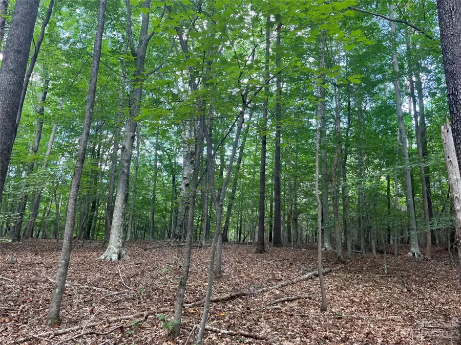 0 Fox Mountain Road #9, Columbus, NC 28722 - Image #2