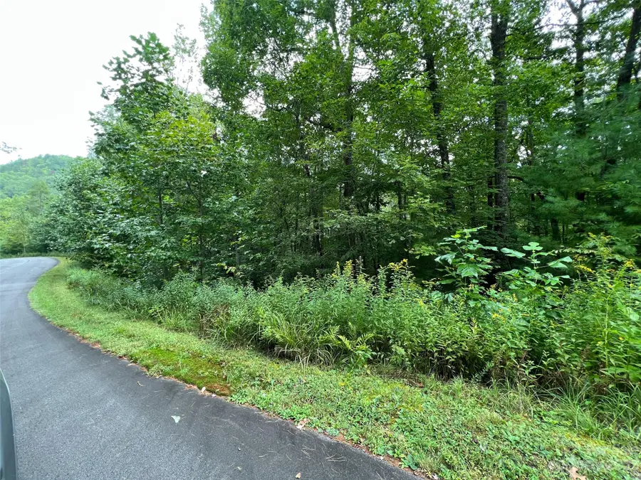 103 Laurel Thicket Lane, Brevard, NC 28712 - Image #2
