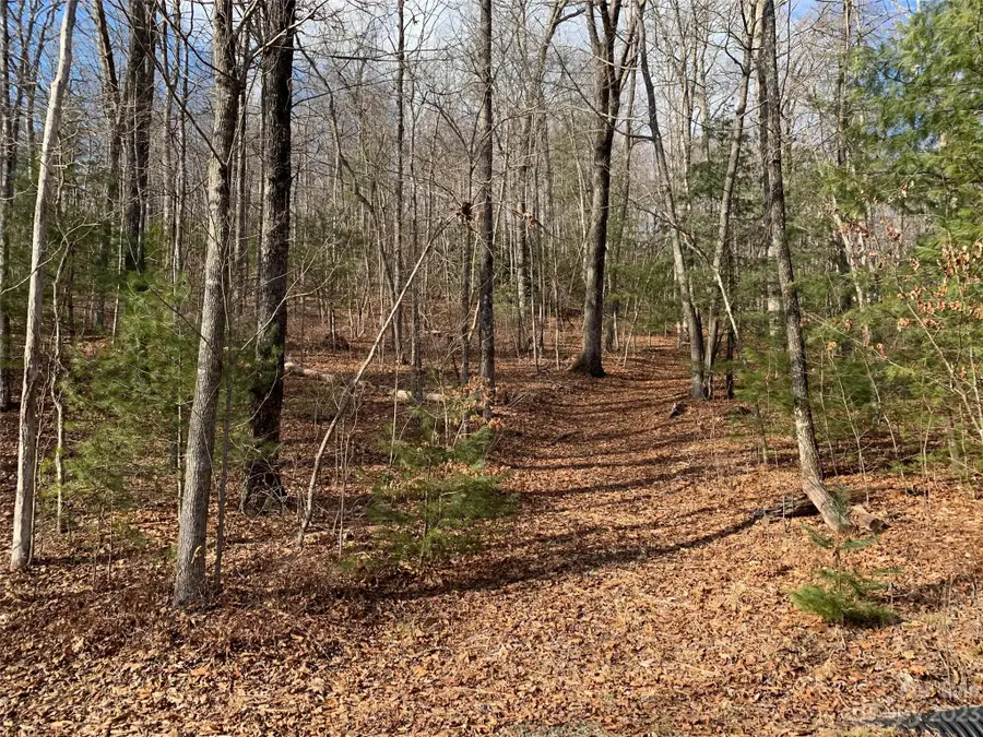 91 Laurel Thicket Lane, Brevard, NC 28712 - Image #2