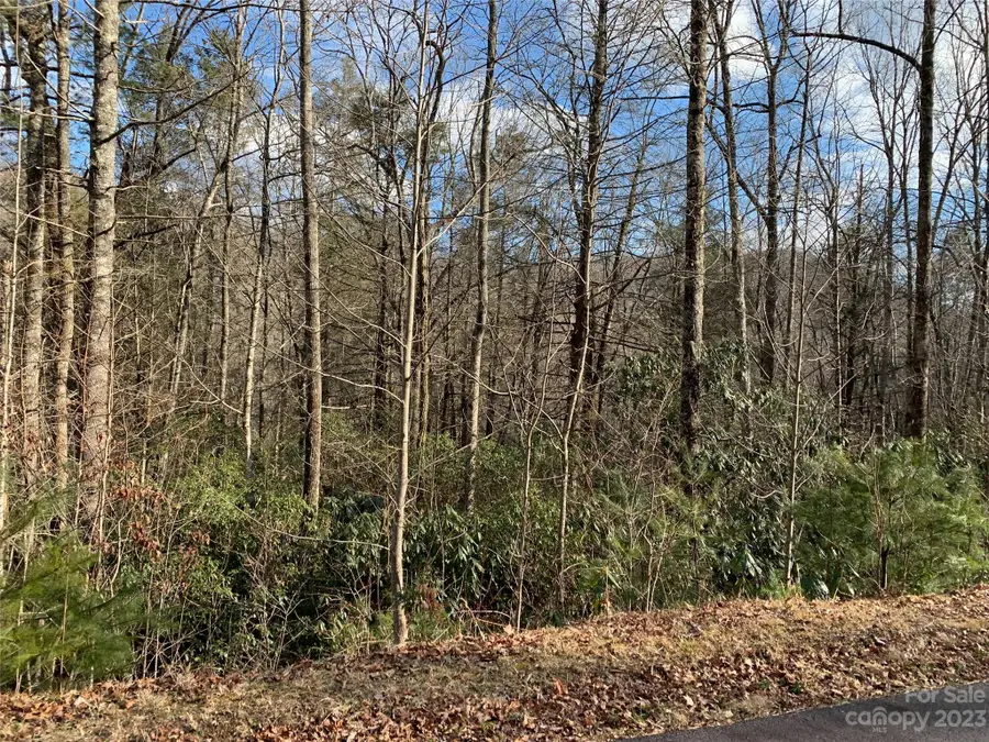 126 Green Hollow Lane, Brevard, NC 28712 - Image #2