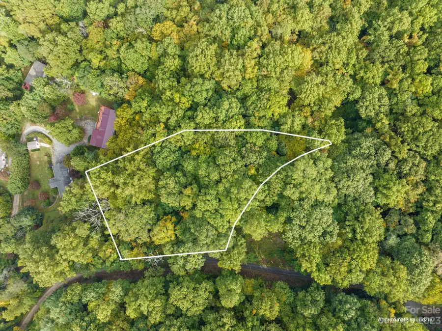 99999 Shope Creek Estates Drive, Asheville, NC 28805 - Image #2