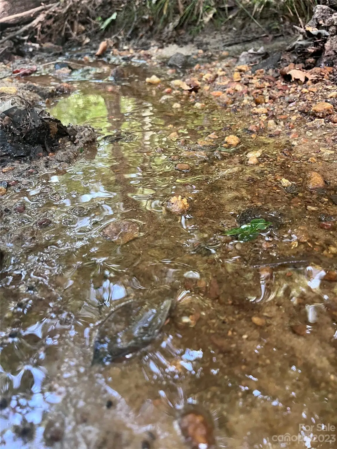 0 Shady Bark Lane #40, Rutherfordton, NC 28139 - Image #1