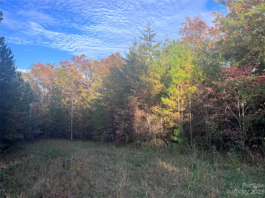 0 Shady Bark Lane #40, Rutherfordton, NC 28139 - Image #2