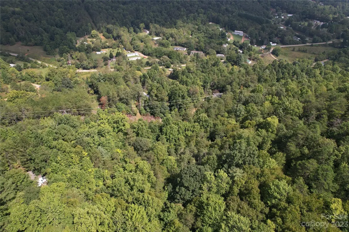 00000 Screech Owl Drive, Candler, NC 28715 - Image #1