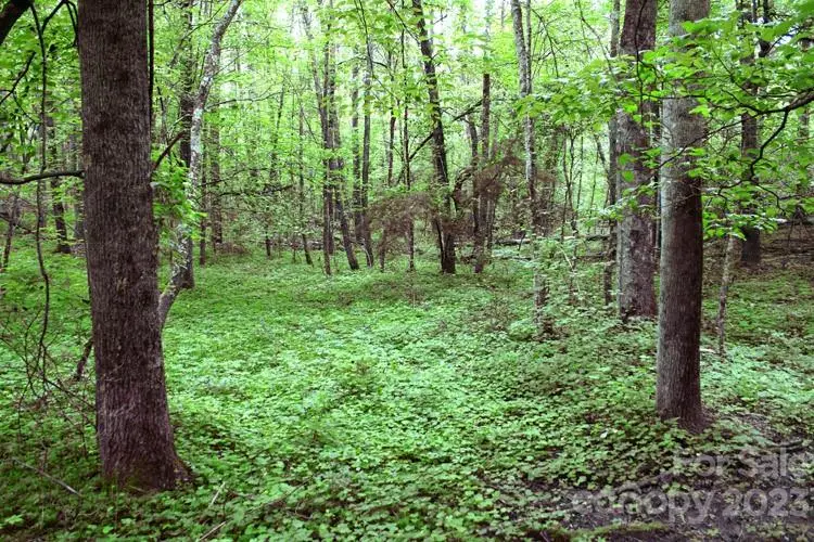 0 Westridge Drive #88, Lake Lure, NC 28746 - #2