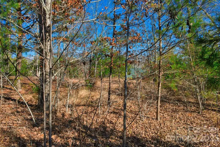 0 Whitestone Circle #81, Union Mills, NC 28167 - Image #2