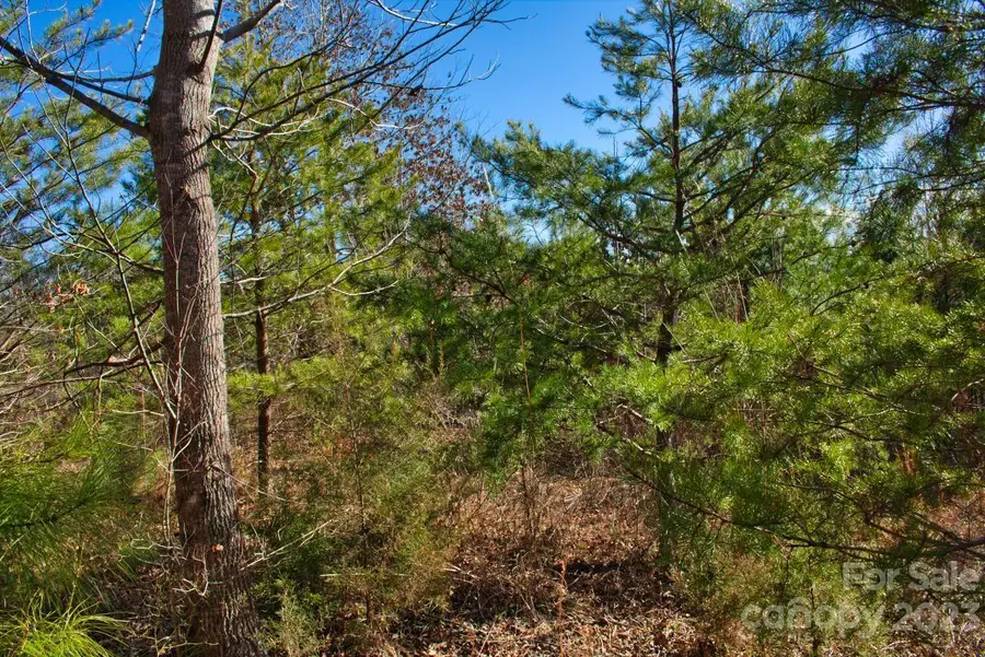 0 Whitestone Circle #81, Union Mills, NC 28167 - Image #3