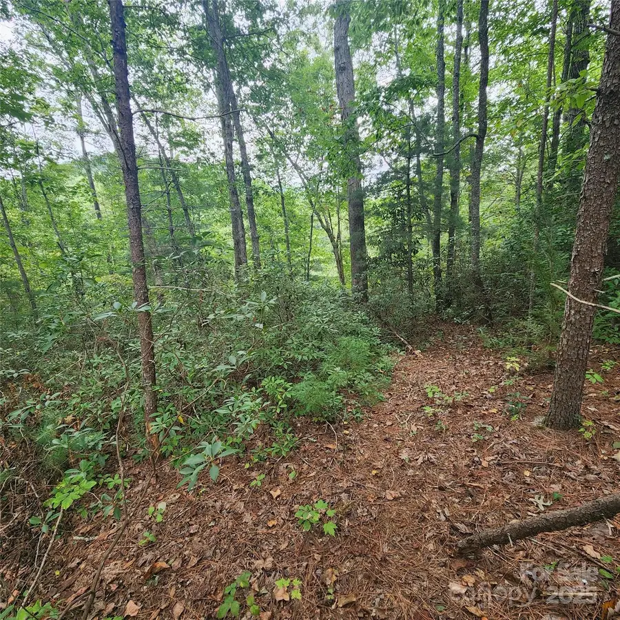 Lot 11 Waterside Drive, Lake Lure, NC 28746 - #2