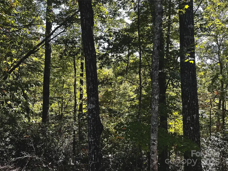 302 Ridge Road, Lake Lure, NC 28746 - Image #2