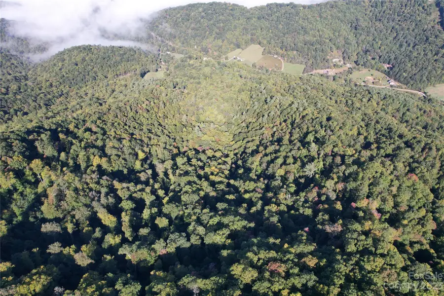 00000 Water Wheel Cove, Clyde, NC 28721 - Image #2