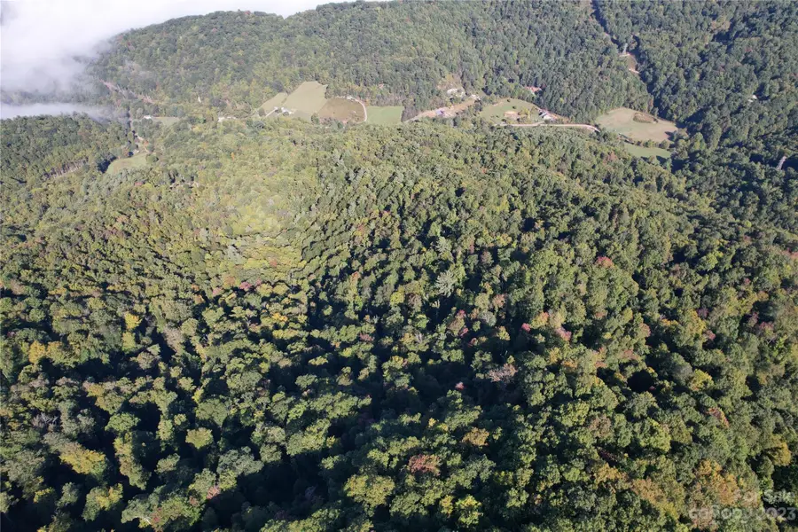 00000 Water Wheel Cove, Clyde, NC 28721 - Image #3