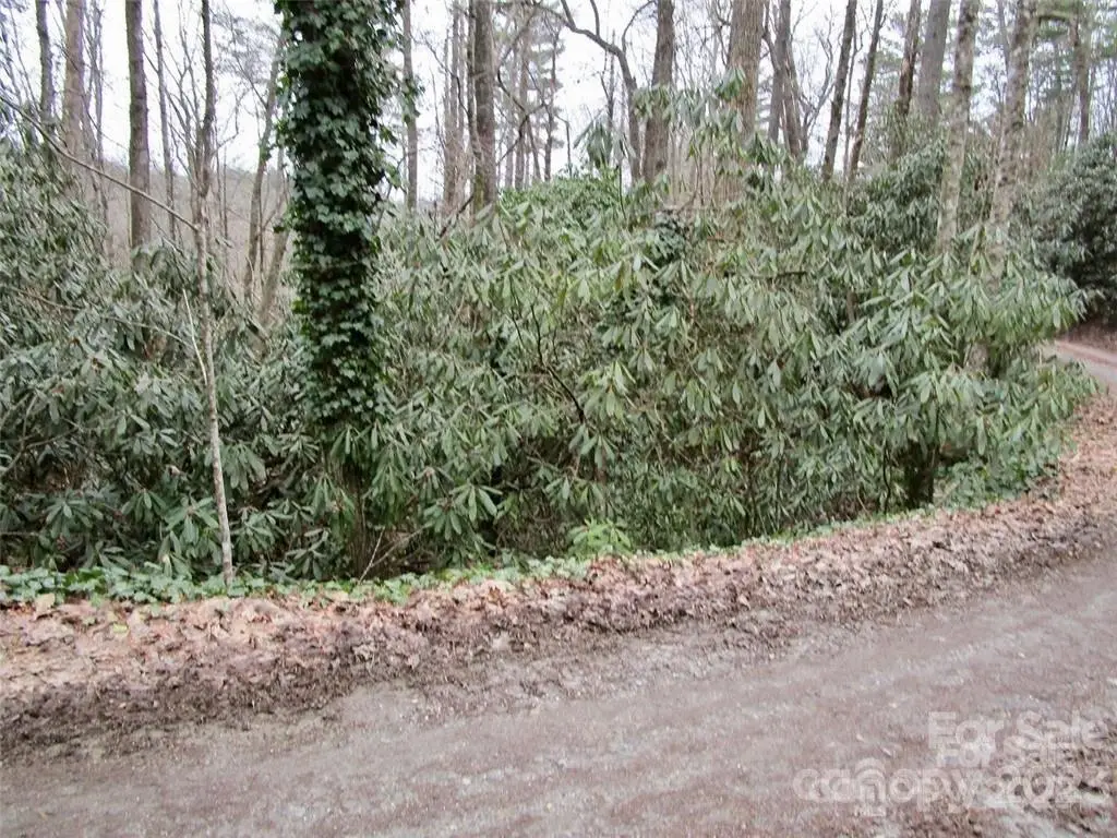 Lot #21 Toxaway Falls Drive, Lake Toxaway, NC 28747 - Image #1