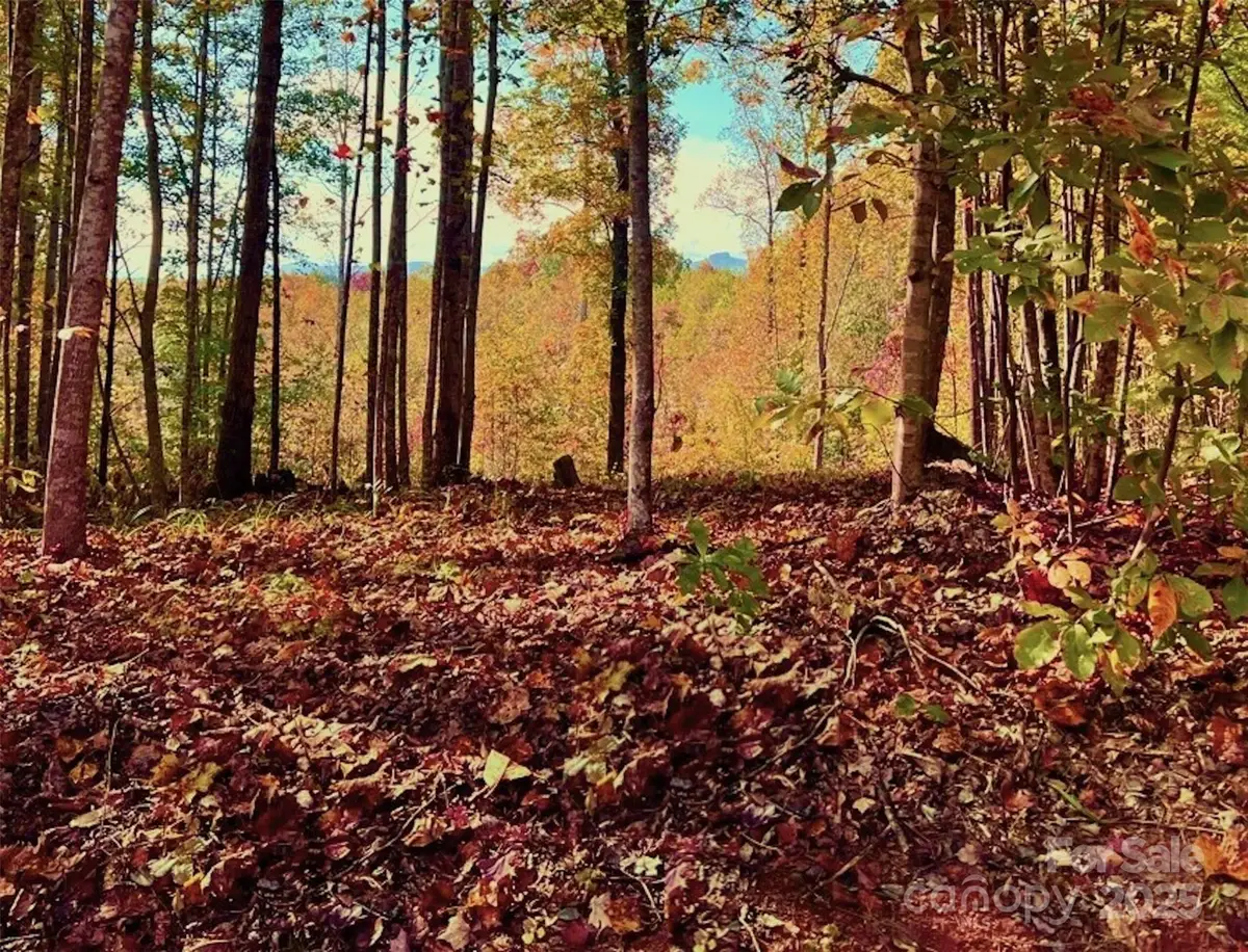 1.85 acres, Lot 925 High Valley Way #925, Lenoir, NC 28645 - Image #1