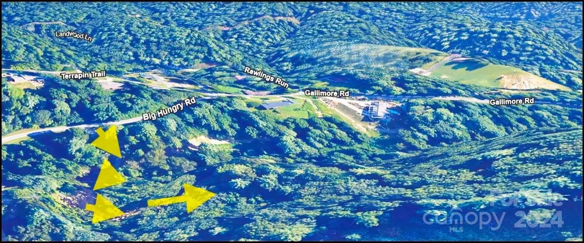 0 Big Hungry Road, Flat Rock, NC 28731 - Image #1