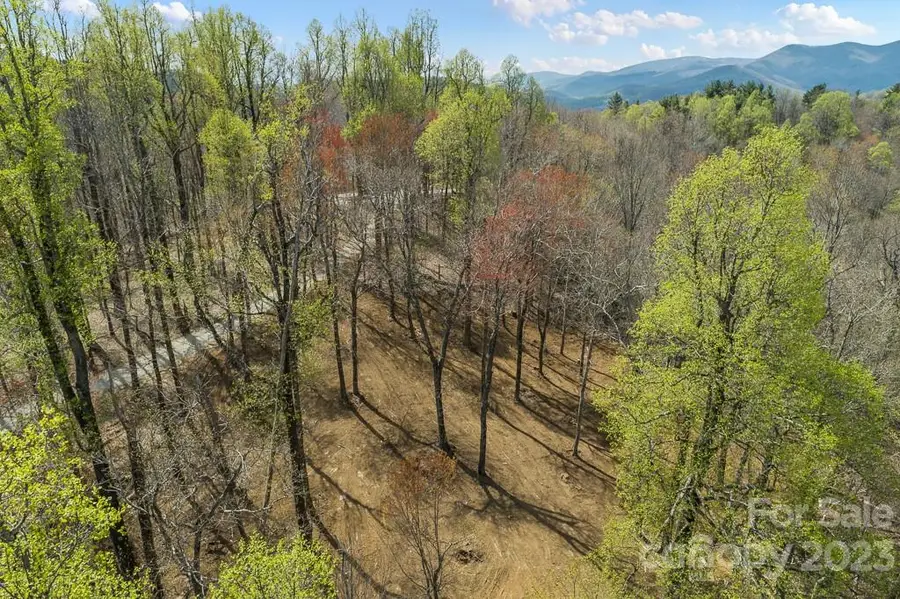 9999-10 Rocky Knob Road, Fairview, NC 28730 - Image #3