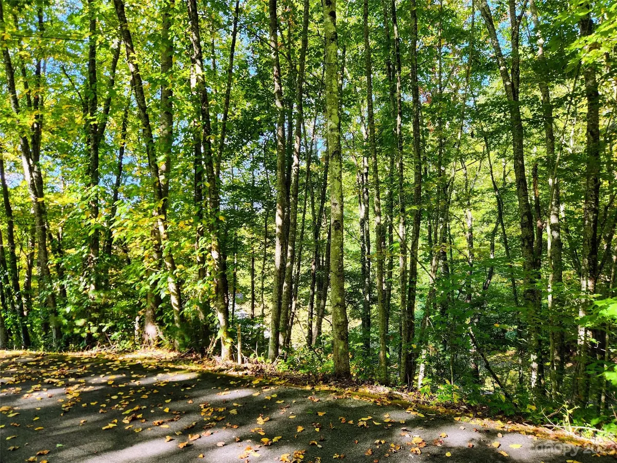 00 Loblolly Way #C7, Maggie Valley, NC 28751 - Image #1